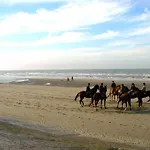 Appartamento Penthouse In Near The Blankenberge