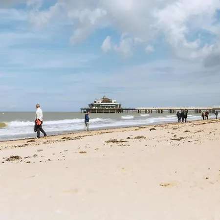 Penthouse In Near The Daire *