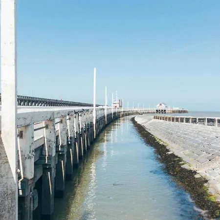 Apartment Penthouse In Near The *