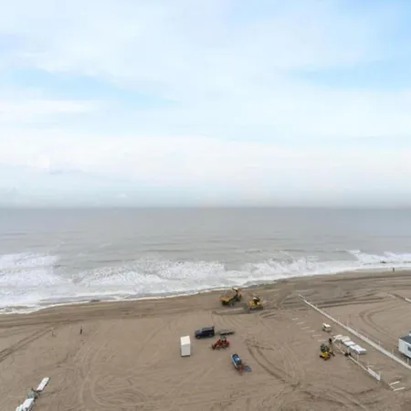 Penthouse In Near The *