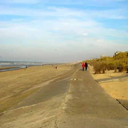 Daire Penthouse In Near The Blankenberge