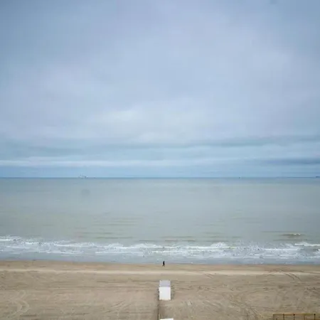 Apartment Penthouse In Near The *