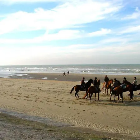 Penthouse In Near The