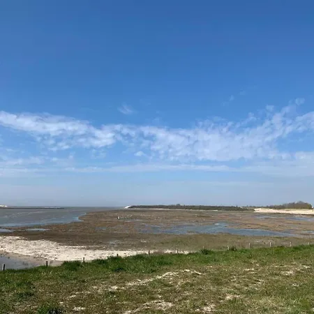 Penthouse In Near The