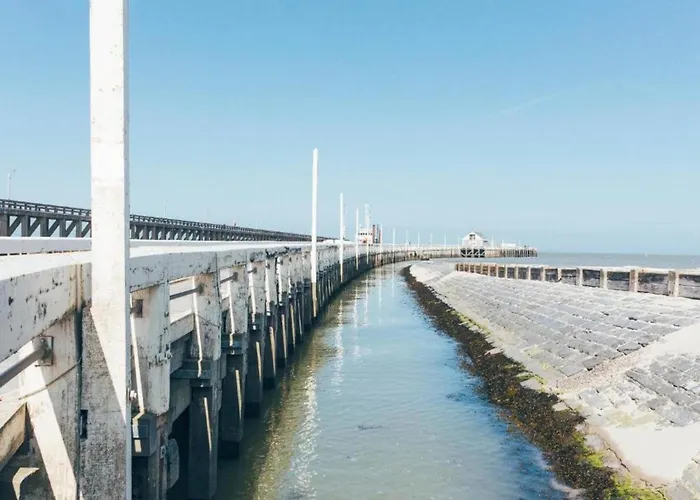 Apartment Penthouse In Near The *