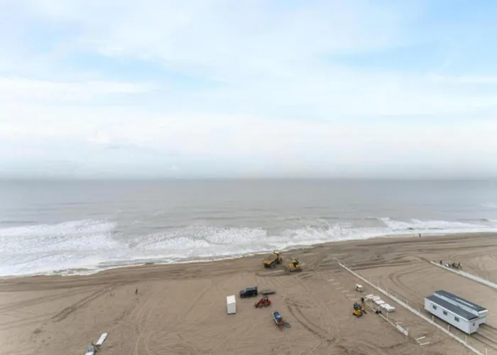 Penthouse In Near The *