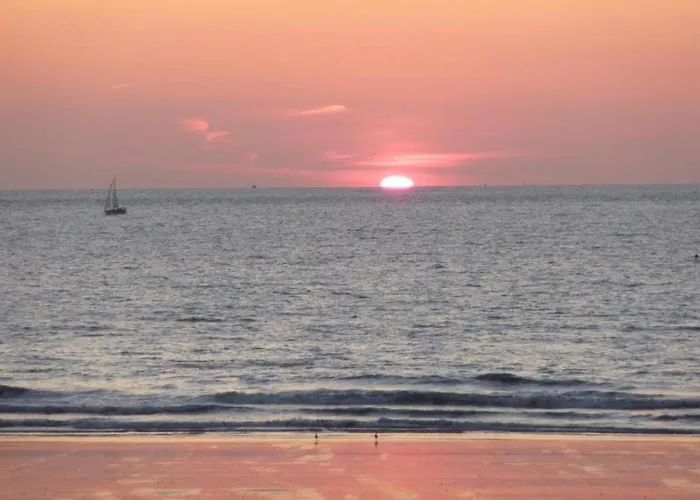 Penthouse In Near The Apartment *