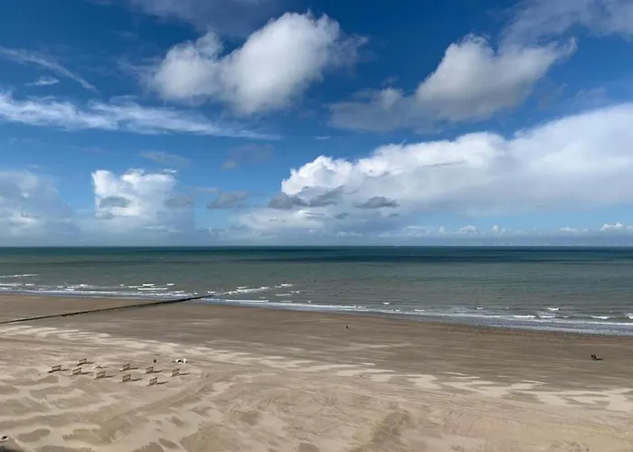 Penthouse In Near The Blankenberge