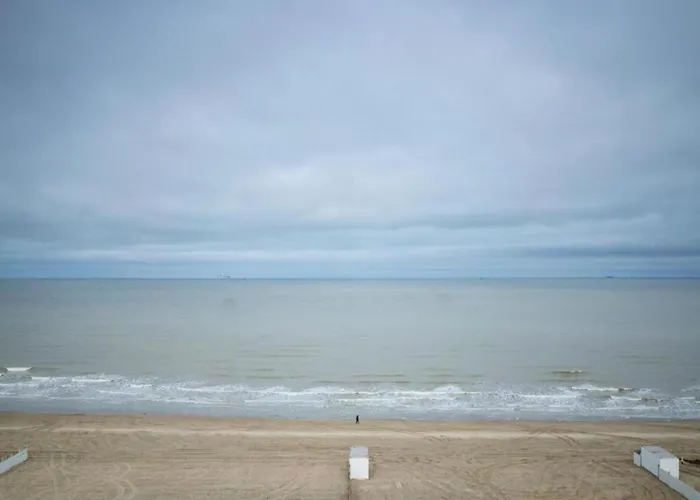 Apartment Penthouse In Near The *