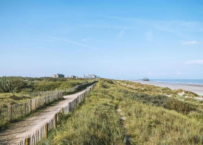 Penthouse In Near The *