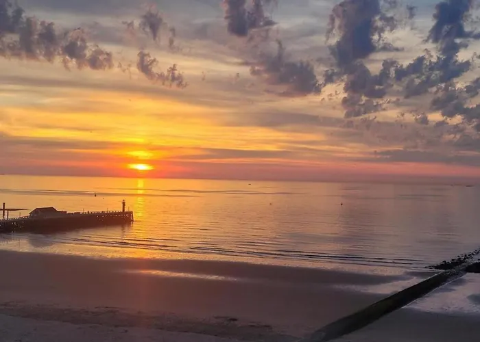 Penthouse In Near The Apartment *