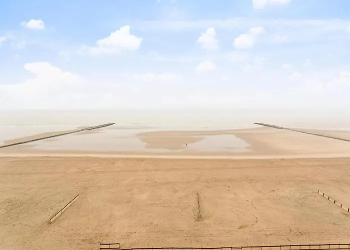 Penthouse In Near The *