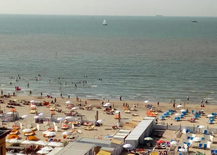 Apartment Penthouse In Near The