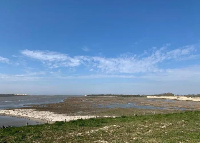 Penthouse In Near The